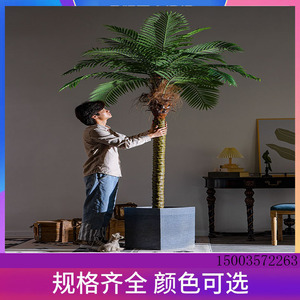 大型椰子树仿真植物针葵棕榈树摆件室内装饰仿生绿植假树盆栽造景
