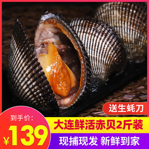 大连海鲜刺身新鲜大贝类蛤蜊日式料理即食寿司食材鲜活赤贝2斤装