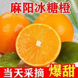 麻阳冰糖橙特级大果当季超甜橙子新鲜水果5/10斤