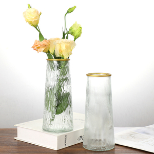 浮雕玻璃花瓶ins风北欧透明水养富贵竹客厅桌面鲜花干花插花摆件