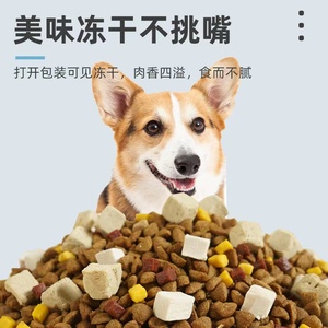 狗粮全犬通用小狗专用萨摩耶幼犬泰迪小土狗冻干试吃实惠装中大型