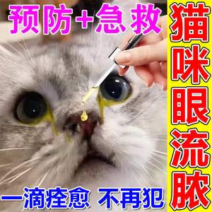 猫咪眼睛发炎流泪流脓眼药水猫结膜炎去泪痕眼屎氯霉素滴眼液宠物