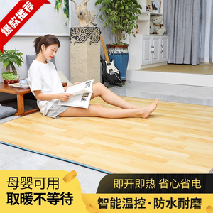 日本正品石墨烯碳晶地暖垫客厅家用发热地毯瑜伽电热毯专用23新款