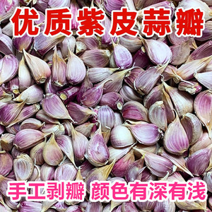 紫皮小蒜瓣5斤出蒜台蒜苗新鲜红皮蒜独大蒜种子祘籽紫皮蒜
