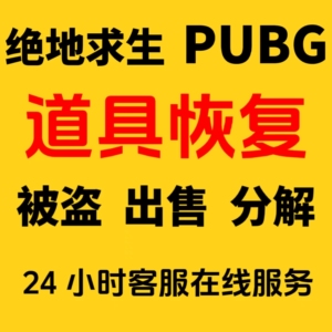 steam绝地求生pubg道具恢复成长型皮肤修复被盗出售找回分解库存