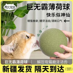 猫玩具猫薄荷球超大自嗨解闷神器猫猫小猫逗猫棒宠物猫咪用品磨牙