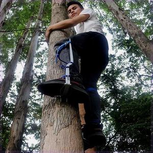 双尖直立爬树神器爬大树脚扎子防滑万能专用工具 安全型专业上树