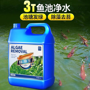鱼池除绿水鱼缸除藻剂去苔剂神器褐藻黑毛丝藻绿藻绿水浮萍清除剂