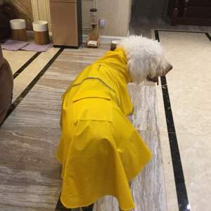 防水定制犬巨型大丹犬狗狗金毛阿拉斯加雨衣雨衣雨披大型犬宠物