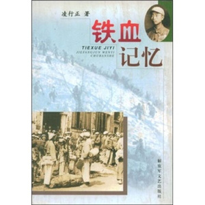 正版9成新图书|铁血记忆凌行正中国人民解放军