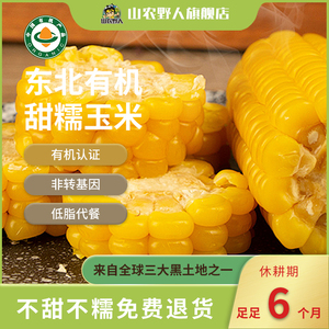 玉米新鲜糯玉米棒甜有机新鲜粘真空包装袋非转基因东北早餐黄水果