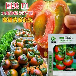 国美F1草莓水果番茄种子草莓柿子铁皮绿腚大西红柿籽四季蔬菜种孑