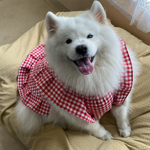 宠物狗狗新款衣服红色方形格子裙子大中小型犬萨摩耶拉布拉多拍摄