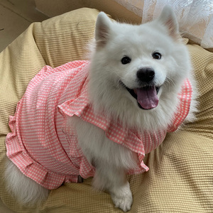 宠物狗狗新款衣服粉色方形格子裙子大中小型犬萨摩耶拉布拉多拍摄