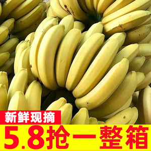 云南高山香蕉10斤新鲜当季水果自然熟芭蕉米蕉叶小米蕉大芭蕉甜5