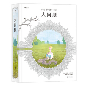 正版9成新图书丨大问题[美]安德斯·尼尔森，译者：郭惠丽后浪