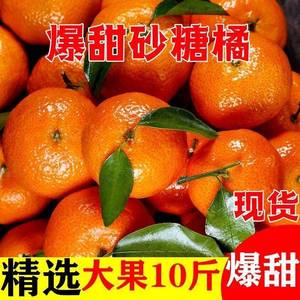 正棕砂糖橘当季新鲜水果应橘子金秋沙糖桔整箱10斤小桔子蜜橘丑橘