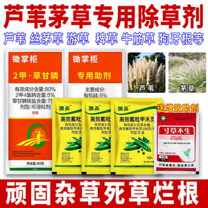 打茅草杀芦苇专用烂根除草剂草甘膦高效氟吡甲禾灵二甲四氯牛筋草