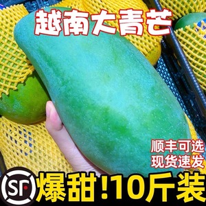 越南进口芒果10斤装当季新鲜水果特大青芒类芒果整箱多规格非贵妃