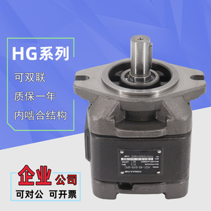 液压泵齿轮泵HG1/HG0/HG2-80/125-01R-VPC内啮合液压伺服油泵双