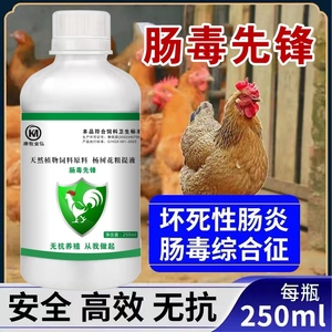 肠独先锋鸡药鸭鹅重症肠炎肠毒白痢水便咳喘救禽缩头感冒发烧拉稀