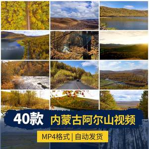 内蒙古阿尔山秋季自然风景色天池不冻河风光旅游秋天航拍视频素材