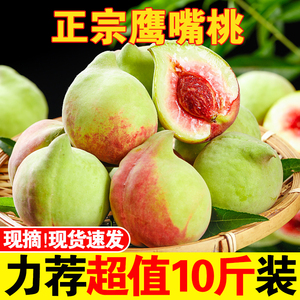 当季新鲜鹰嘴桃脆甜10斤时令高端水果整箱应季罕见的毛桃子水蜜桃