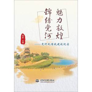 正版9成新图书丨魅力敦煌 锦绣党河：党河风情线建设纪实达勇