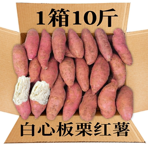老品种白心板栗红薯沙地蜜薯新鲜地瓜正宗农家大山芋小番薯10斤