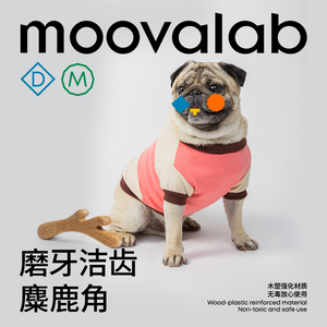 MoovaLab狗玩具磨牙棒鹿角幼犬耐咬宠物独处自嗨啃咬洁齿解闷神器