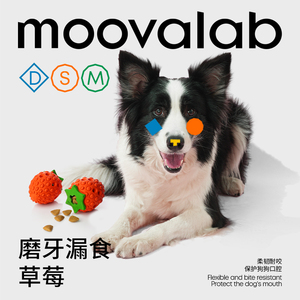 MoovaLab狗狗玩具漏食器自嗨解闷神器宠物犬泰迪耐咬磨牙训练体力