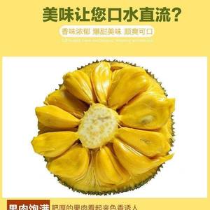 海南三亚黄肉菠萝蜜当季热带水果 10-35斤坏果包赔 包邮