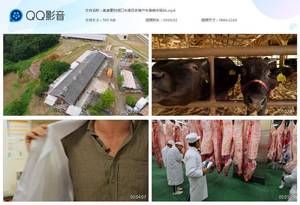 美食素材进口牛排日本神户牛排养牛场厂牛肉实拍视频素材