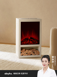 福库款韩国进口原创设计暖风机电暖气取暖器家用仿真火焰实木电壁