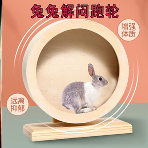 兔子跑轮兔子解闷玩具宠物侏儒兔发泄运动训练用品给兔子玩的玩具