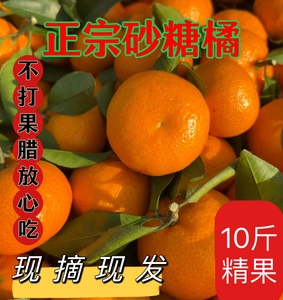 正宗广西沙糖桔新鲜金秋棉橘砂糖橘子20斤蜜桔子纯甜应季水果特产