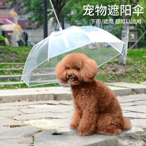 狗狗雨伞宠物雨伞泰迪比熊小型犬小狗宠物雨衣雨披用品带狗链子