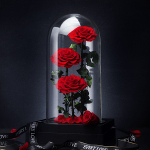 跨境情人节礼物 永生花成品玻璃罩玫瑰花礼盒三朵王子
