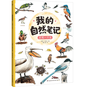 正版九成新图书|发现一只鸟（我的自然笔记）芮东莉 吕永林湖南科