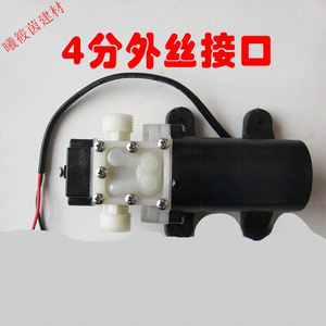 4分接口小水泵微型水泵自吸泵直流12Ｖ抽水泵电泵12V25泵带