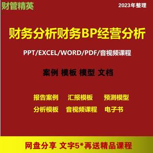 财务BP分析模板案例excel表格汇报PPT报告图表BP预测模型会计教程