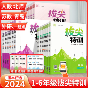 2024小学拔尖特训一二年级三四五六年级下册语文数学英语人教版青岛版外研版苏教版北师大版通城学典同步训练一课一练必刷题天天练