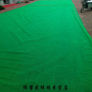 聚酯盖土网绿色防尘网建筑工地安覆盖网绿化网抗晒耐风化绿色圆|