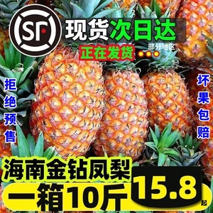 海南金钻凤梨9斤新鲜水果当季香水菠萝特产大果手撕无眼整箱5