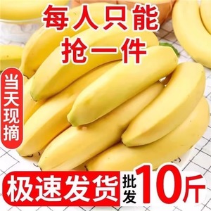 高山甜香蕉10斤新鲜水果当季现摘大芭蕉小米蕉甜香蕉整箱自然熟包