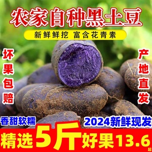 现挖紫土豆黑土豆黑金刚新鲜紫色洋芋马铃薯黑美人迷你小土豆10斤