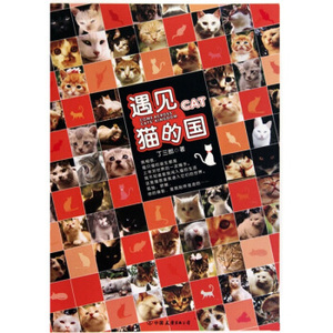 正版 遇见·猫的国 丁三郎著 中国友谊出版公司