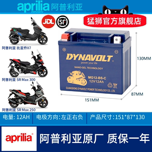 阿普利亚SRMAX250 300 SR300 SR250 SR150摩托车电瓶12v12A蓄电池