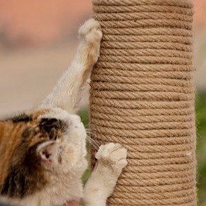 猫爬绳麻绳手工diy材料猫咪磨爪粗麻绳线装饰水管细绳子捆绑绳耐