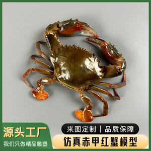 高仿真赤甲红蟹模型海鲜店装饰假螃蟹模型假海鲜直播道具假样